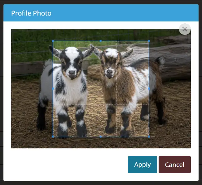 Registration form profile photo uploaded select resize